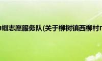 柳树镇西柳村巾帼志愿服务队(关于柳树镇西柳村巾帼志愿服务队的简介)