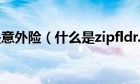 什么是意外险（什么是zipfldr.dll）