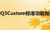 奥迪Q5Custom标准功能如何