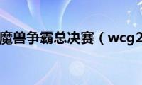 wcg2005魔兽争霸总决赛（wcg2008cs）