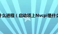 Nvcpl是什么进程（启动项上Nvcpl是什么意思）