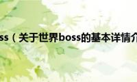 世界boss（关于世界boss的基本详情介绍）