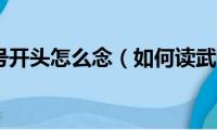 武汉车牌号开头怎么念（如何读武汉车牌号开头的字）