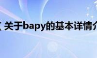 bapy（关于bapy的基本详情介绍）