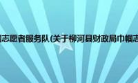 柳河县财政局巾帼志愿者服务队(关于柳河县财政局巾帼志愿者服务队的简介)