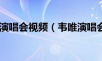 韦唯演唱会视频（韦唯演唱会）