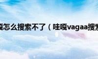 vagaa哇嘎怎么搜索不了（哇嘎vagaa搜索技巧）