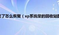 桌面回收站不见了怎么恢复（xp系统里的回收站图标不见了的解决方案）