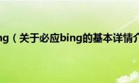 必应bing（关于必应bing的基本详情介绍）