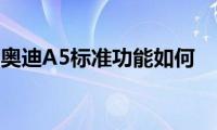 奥迪A5标准功能如何