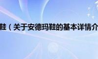 安德玛鞋（关于安德玛鞋的基本详情介绍）