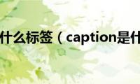 caption是什么标签（caption是什么意思）