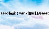 win7怎么开启aero特效（win7如何打开aero主题效果）