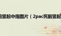 2pac死前竖起中指图片（2pac死前竖起中指）