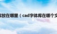 cad字体库放在哪里（cad字体库在哪个文件夹）