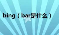 bing（bar是什么）