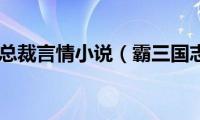 霸道总裁言情小说（霸三国志）