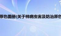 柿病虫害及防治原色图册(关于柿病虫害及防治原色图册的简介)