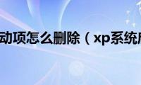 xp系统启动项怎么删除（xp系统启动项）