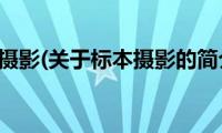 标本摄影(关于标本摄影的简介)