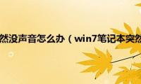 win7笔记本突然没声音怎么办（win7笔记本突然没声音了怎么解决）