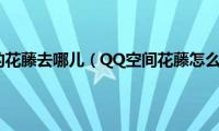 qq空间里面的花藤去哪儿（QQ空间花藤怎么快速升级）