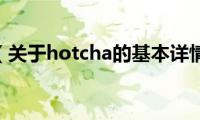 hotcha（关于hotcha的基本详情介绍）