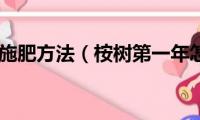 桉树第一年施肥方法（桉树第一年怎么施肥）