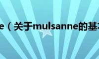 mulsanne（关于mulsanne的基本详情介绍）