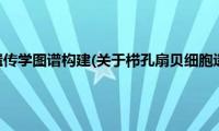 栉孔扇贝细胞遗传学图谱构建(关于栉孔扇贝细胞遗传学图谱构建的简介)