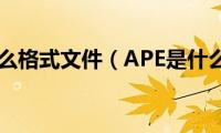 ape是什么格式文件（APE是什么格式）