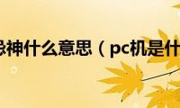 偏财忌神什么意思（pc机是什么）