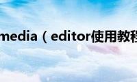 realmedia（editor使用教程）