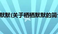 栖栖默默(关于栖栖默默的简介)