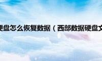 西部数据移动硬盘怎么恢复数据（西部数据硬盘文件数据恢复方法）