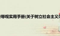 树立社会主义荣辱观实用手册(关于树立社会主义荣辱观实用手册的简介)