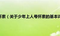 少年上人号怀素（关于少年上人号怀素的基本详情介绍）