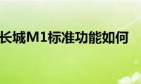 长城M1标准功能如何