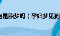 孕妇梦见狗是胎梦吗（孕妇梦见狗是不是胎梦）