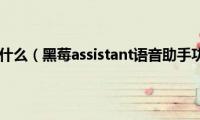 assistant是什么（黑莓assistant语音助手功能介绍）