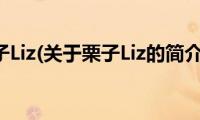 栗子Liz(关于栗子Liz的简介)