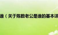 陈数老公是谁（关于陈数老公是谁的基本详情介绍）