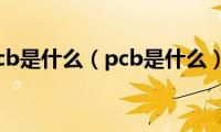 pcb是什么（pcb是什么）