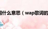 wap歌词什么意思（wap歌词的意思）