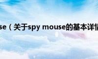 spy(mouse（关于spy mouse的基本详情介绍）)