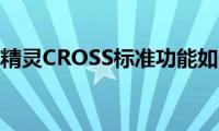 长城精灵CROSS标准功能如何