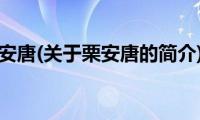 栗安唐(关于栗安唐的简介)