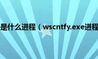 sesvcr.exe是什么进程（wscntfy.exe进程是什么）