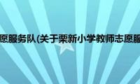 栗新小学教师志愿服务队(关于栗新小学教师志愿服务队的简介)