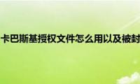 卡巴斯基(app（卡巴斯基授权文件怎么用以及被封的解决方法）)